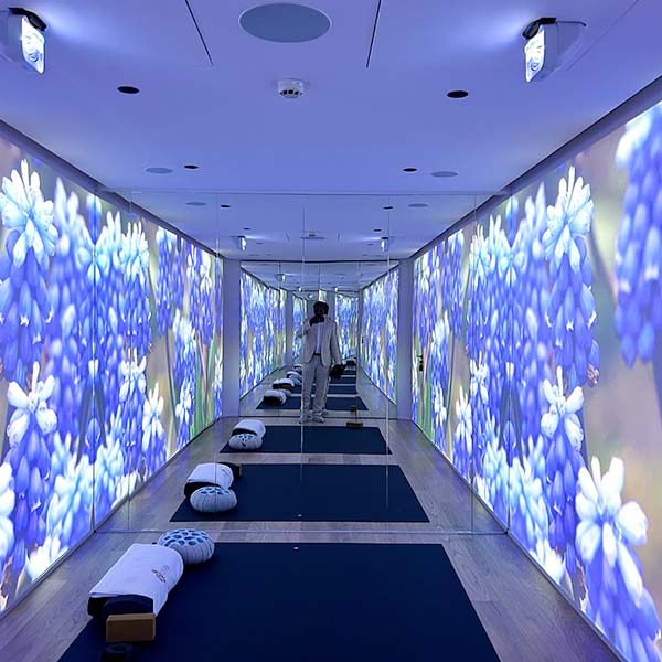 41 yoga immersif fleur nlespa